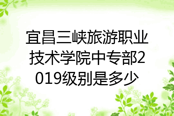 宜昌三峡旅游职业技术学院中专部2019级别是多少