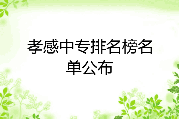 孝感中专排名榜名单公布