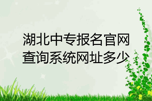 湖北中专报名官网查询系统网址多少