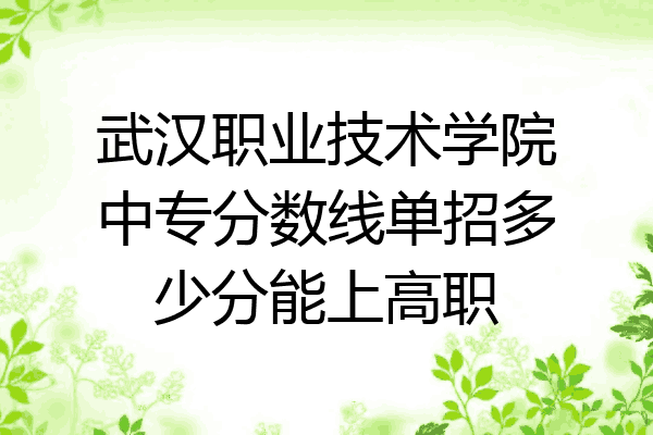 武汉职业技术学院中专分数线单招多少分能上高职