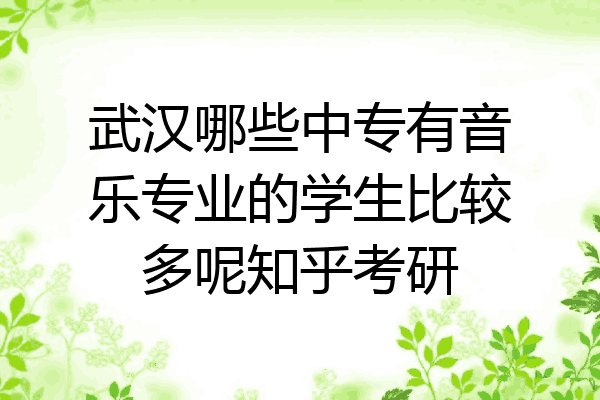武汉哪些中专有音乐专业的学生比较多呢知乎考研