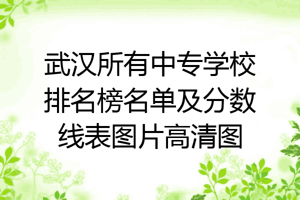 武汉所有中专学校排名榜名单及分数线表图片高清图