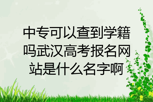 中专可以查到学籍吗武汉高考报名网站是什么名字啊