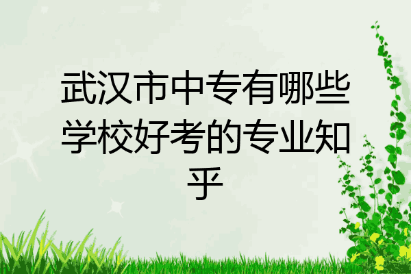 武汉市中专有哪些学校好考的专业知乎