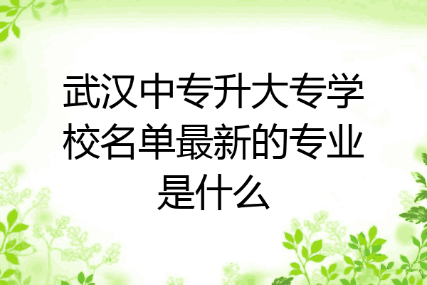武汉中专升大专学校名单最新的专业是什么