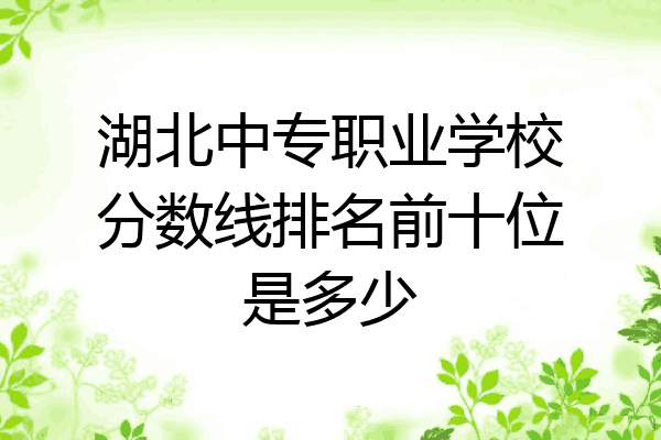 湖北中专职业学校分数线排名前十位是多少