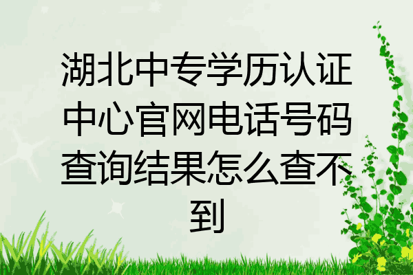 湖北中专学历认证中心官网电话号码查询结果怎么查不到