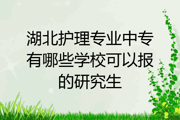 湖北护理专业中专有哪些学校可以报的研究生