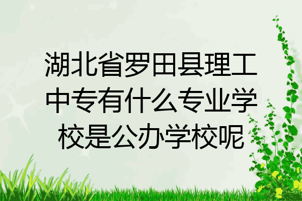 湖北省罗田县理工中专有什么专业学校是公办学校呢