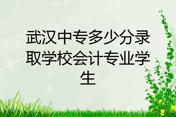 武汉中专多少分录取学校会计专业学生