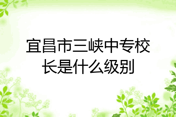 宜昌市三峡中专校长是什么级别
