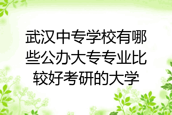 武汉中专学校有哪些公办大专专业比较好考研的大学