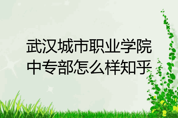 武汉城市职业学院中专部怎么样知乎