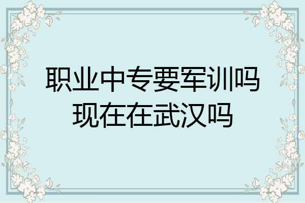 职业中专要军训吗现在在武汉吗