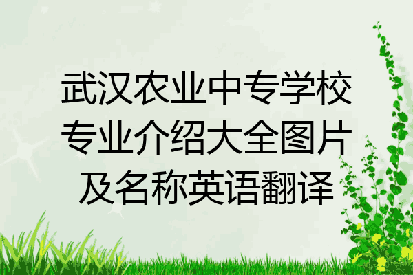 武汉农业中专学校专业介绍大全图片及名称英语翻译