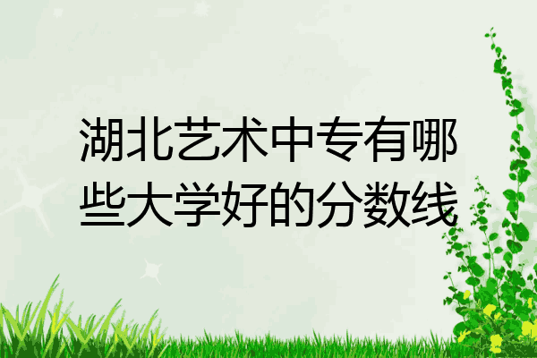 湖北艺术中专有哪些大学好的分数线