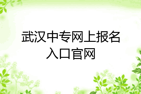 武汉中专网上报名入口官网