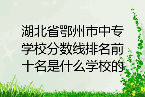 湖北省鄂州市中专学校分数线排名前十名是什么学校的