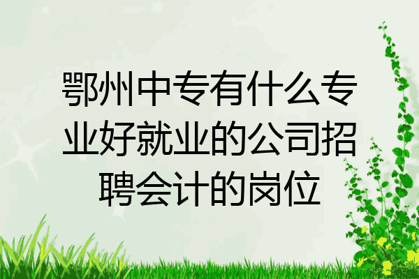 鄂州中专有什么专业好就业的公司招聘会计的岗位