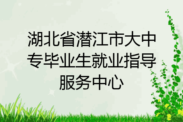 湖北省潜江市大中专毕业生就业指导服务中心
