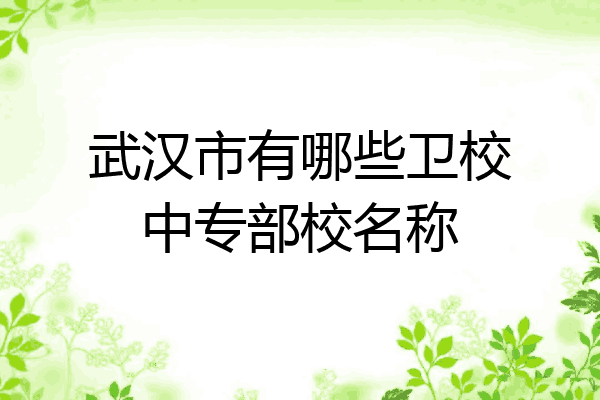武汉市有哪些卫校中专部校名称