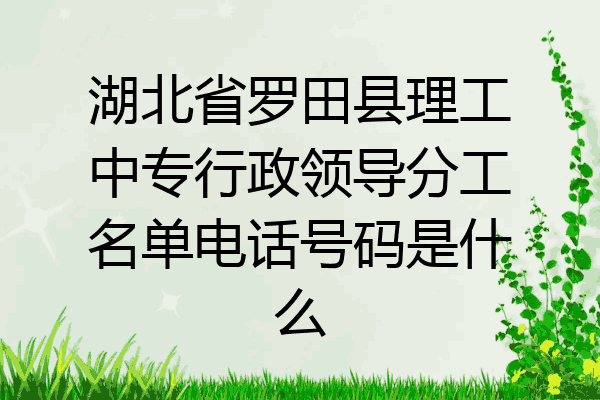 湖北省罗田县理工中专行政领导分工名单电话号码是什么