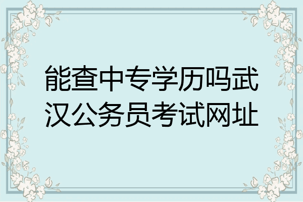 能查中专学历吗武汉公务员考试网址