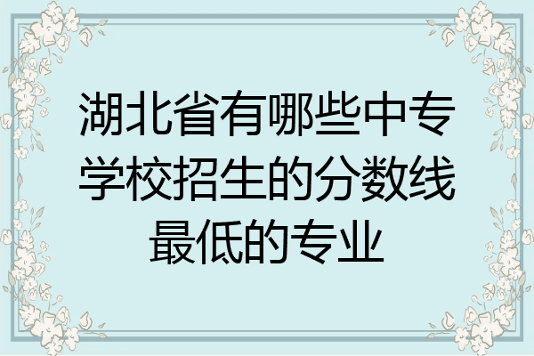 湖北省有哪些中专学校招生的分数线最低的专业