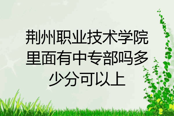 荆州职业技术学院里面有中专部吗多少分可以上