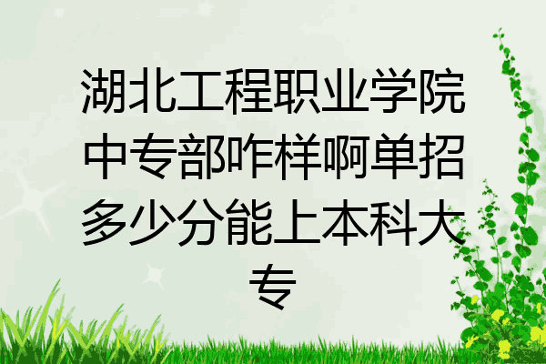 湖北工程职业学院中专部咋样啊单招多少分能上本科大专