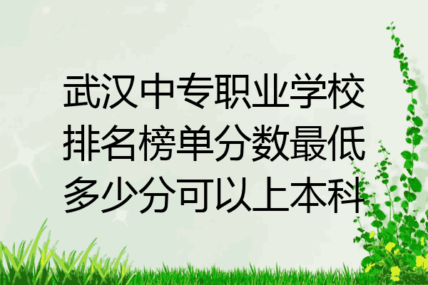 武汉中专职业学校排名榜单分数最低多少分可以上本科