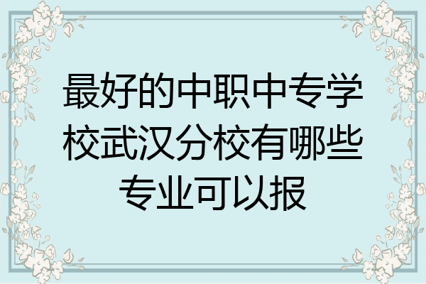 最好的中职中专学校武汉分校有哪些专业可以报
