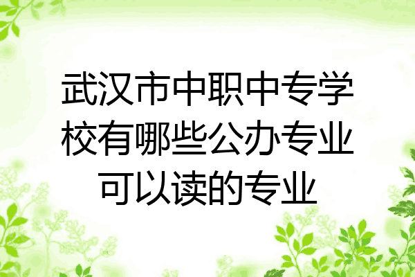 武汉市中职中专学校有哪些公办专业可以读的专业