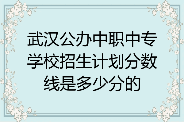 武汉公办中职中专学校招生计划分数线是多少分的