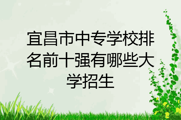 宜昌市中专学校排名前十强有哪些大学招生