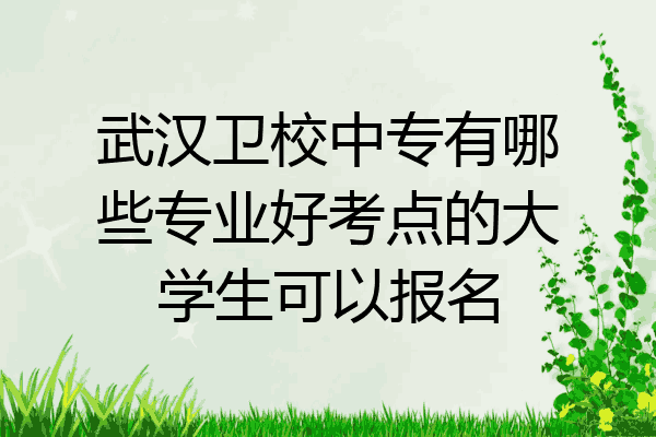 武汉卫校中专有哪些专业好考点的大学生可以报名