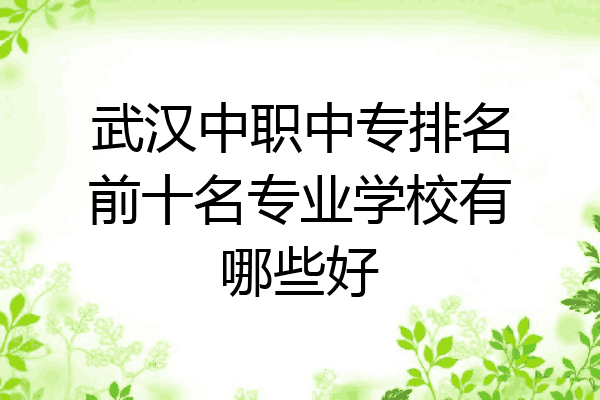 武汉中职中专排名前十名专业学校有哪些好