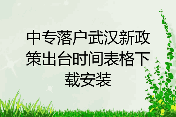 中专落户武汉新政策出台时间表格下载安装