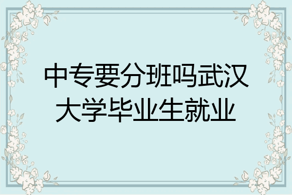 中专要分班吗武汉大学毕业生就业