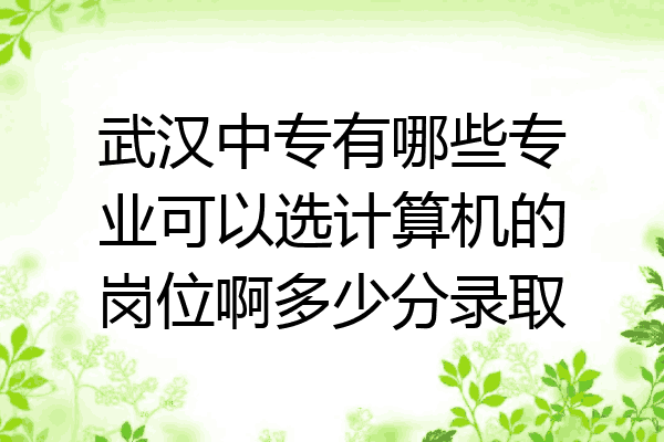武汉中专有哪些专业可以选计算机的岗位啊多少分录取