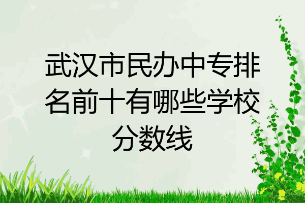 武汉市民办中专排名前十有哪些学校分数线