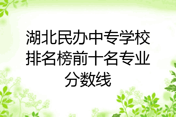 湖北民办中专学校排名榜前十名专业分数线