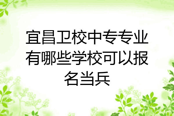 宜昌卫校中专专业有哪些学校可以报名当兵