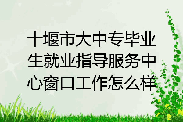 十堰市大中专毕业生就业指导服务中心窗口工作怎么样
