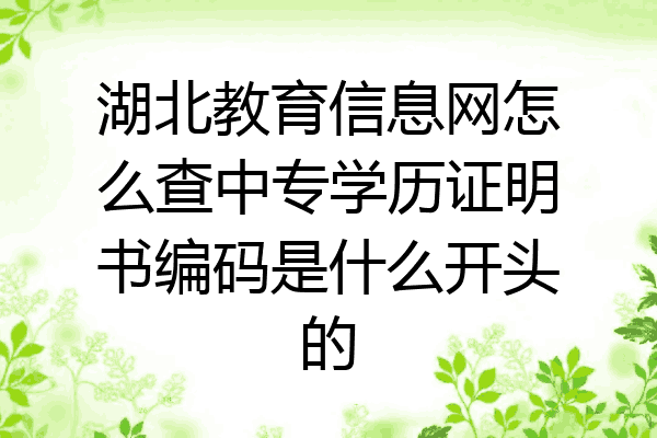 湖北教育信息网怎么查中专学历证明书编码是什么开头的