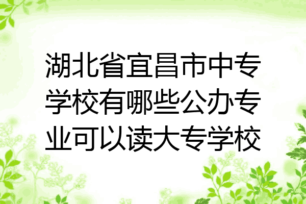 湖北省宜昌市中专学校有哪些公办专业可以读大专学校