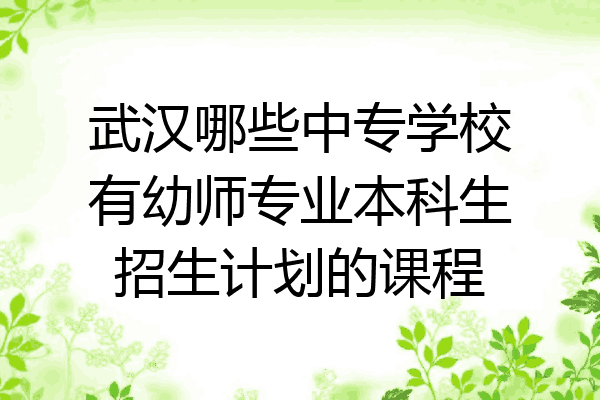 武汉哪些中专学校有幼师专业本科生招生计划的课程