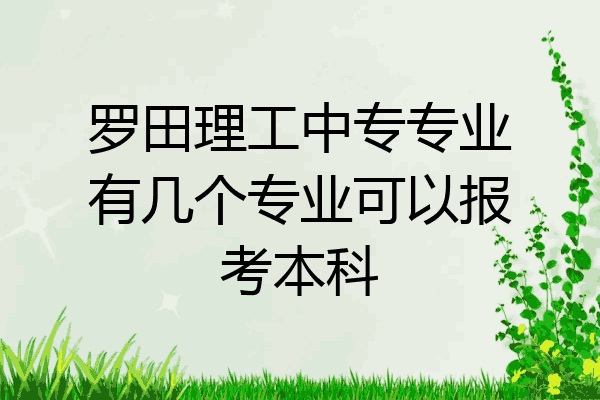 罗田理工中专专业有几个专业可以报考本科