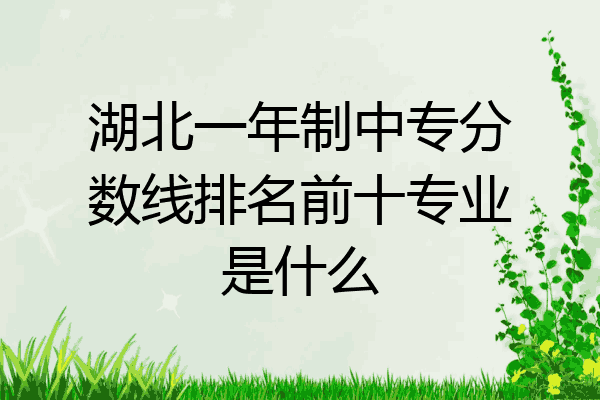 湖北一年制中专分数线排名前十专业是什么