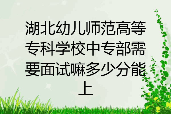 湖北幼儿师范高等专科学校中专部需要面试嘛多少分能上
